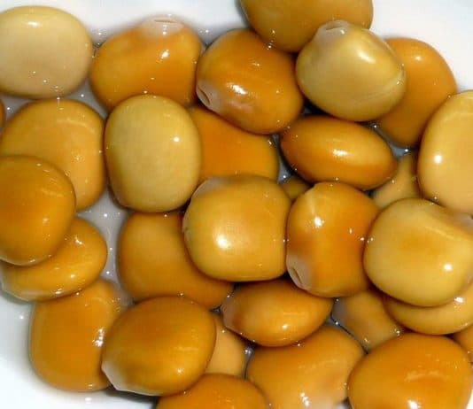 lupini