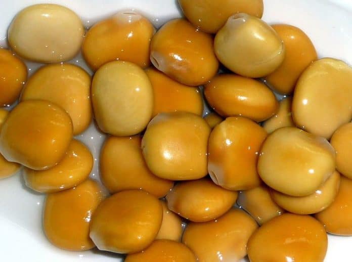 lupini lupini