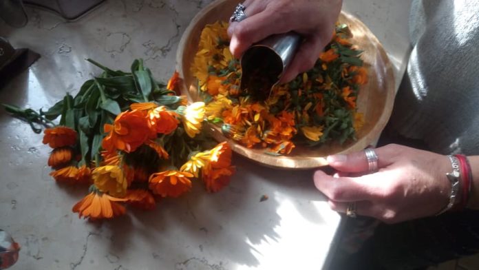 pomata calendula pomata calendula