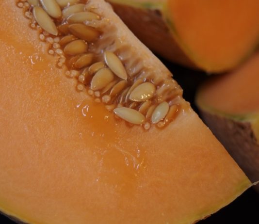 maschera viso melone