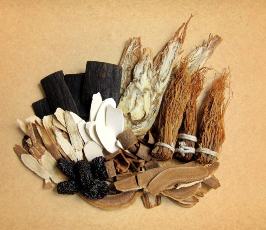 cortisolo ginseng