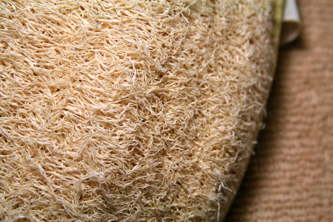luffa_spugna_naturale