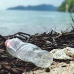 Albero di Natale “riciclato” sulla spiaggia di Focene