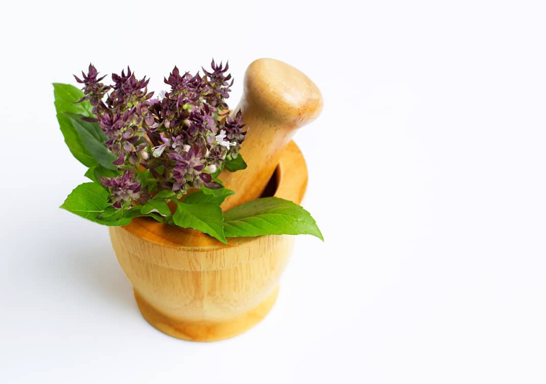 tulsi_prorpietà_e_benefici