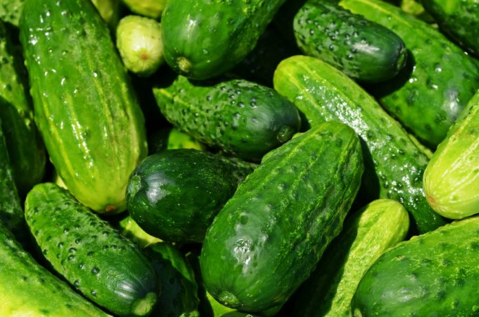 buccia-cetriolo-benefici buccia-cetriolo-benefici