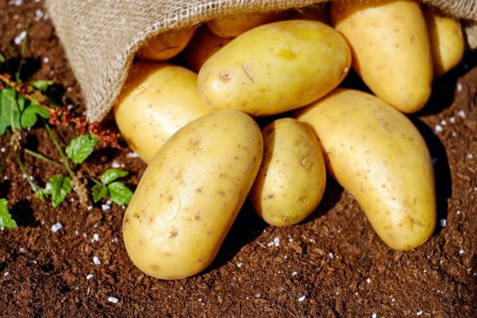 buccia-di-patata-benefici buccia-di-patata-benefici