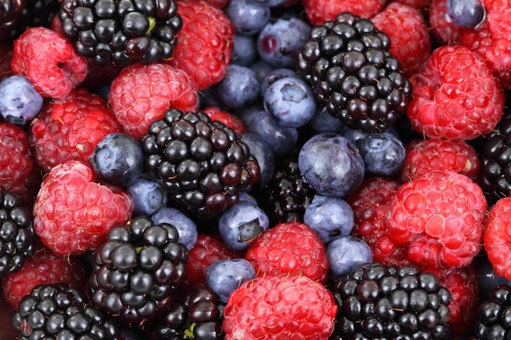 La Dieta Mind contro l�Alzheimer Vivo di Benessere