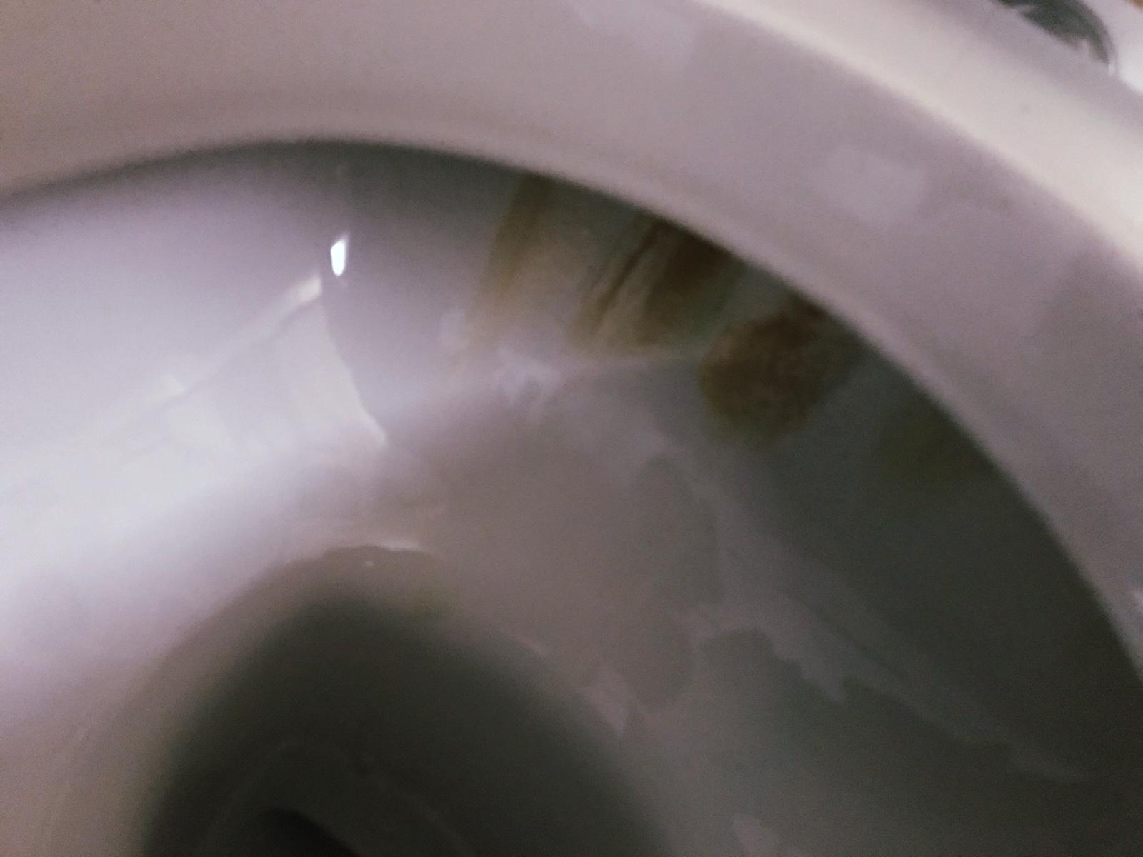 Come rimuovere la ruggine dal water | Tutto per Casa