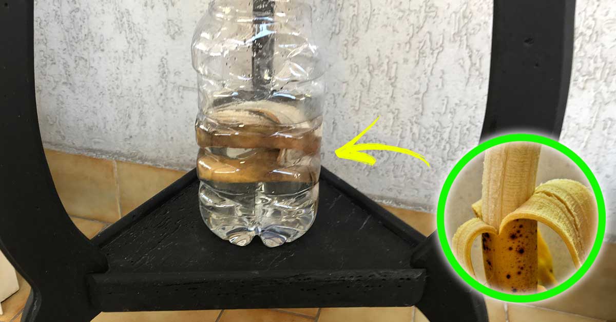 Come fare una trappola per zanzare con le bucce di banana!