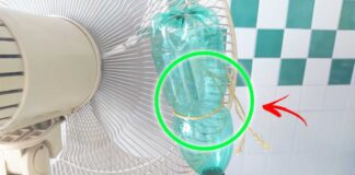 ventilatore-aria-fredda