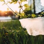 Il Giappone dice “no” ai sacchetti di plastica!