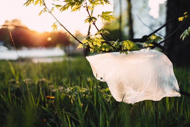 Il Giappone dice “no” ai sacchetti di plastica!