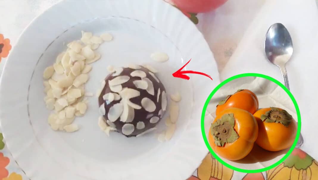 budino-cachi-cacao