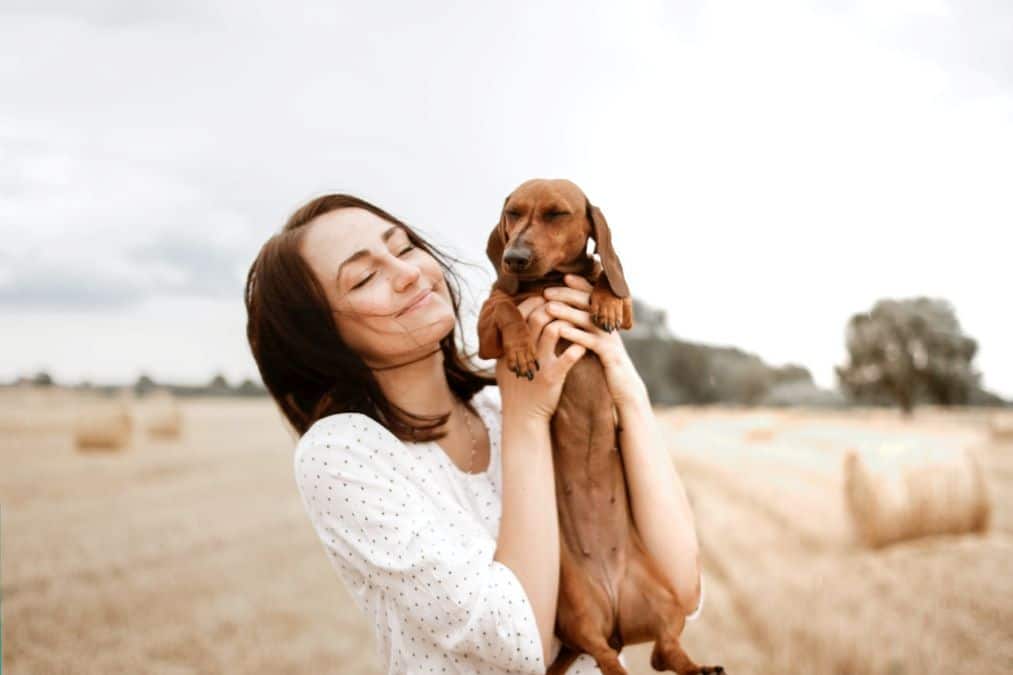 Perché i cani sono così amichevoli? La risposta è nei loro geni!