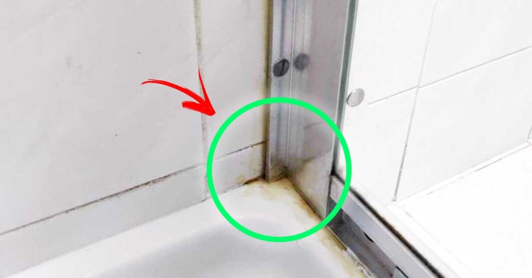 moho-ducha-baño moho-ducha-baño