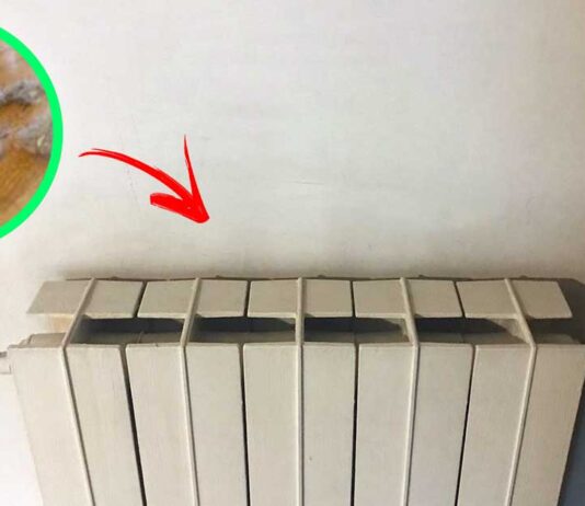 polvere-termosifoni-dietro