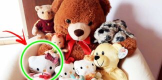 come-pulire-peluche