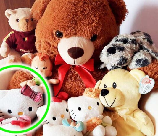 come-pulire-peluche