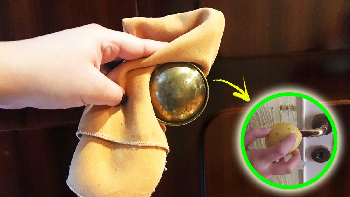 pomos-pulidos-manijas