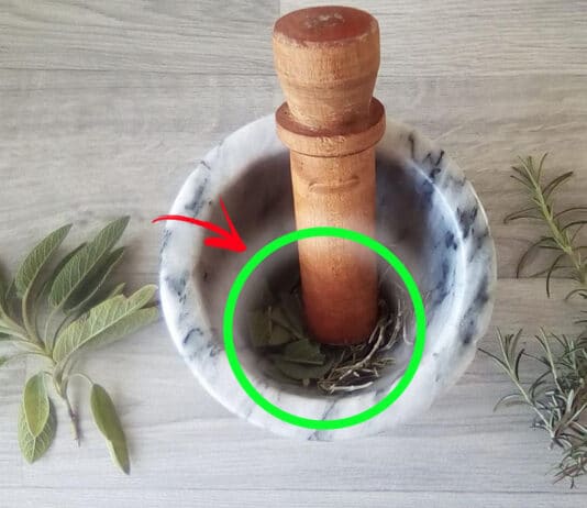 mix-erbe-aromatiche