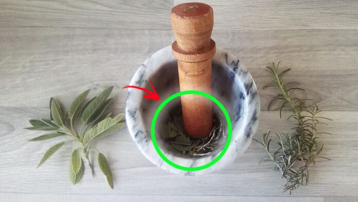 mix-erbe-aromatiche