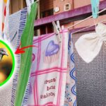 Come fare un sacchetto repellente per i piccioni del balcone