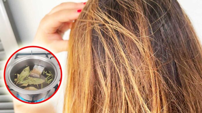 impacco-alloro-camomilla-capelli-che-cadono