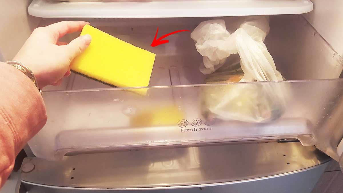 Come utilizzare il frigorifero in unarea con alta umidità?