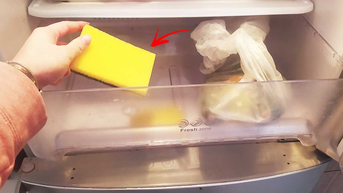 Come mantenere la frutta e verdura fresca in frigo con una spugnetta