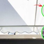 Hai trovato CIMICI sul tuo balcone? Ecco come tenerle lontane anche dalle lenzuola!