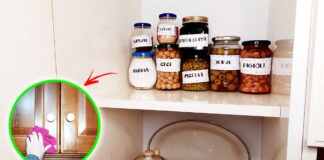 come-organizzare-dispensa