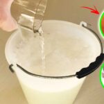 3 Detersivi fai da te per profumare tutta la casa di primavera!