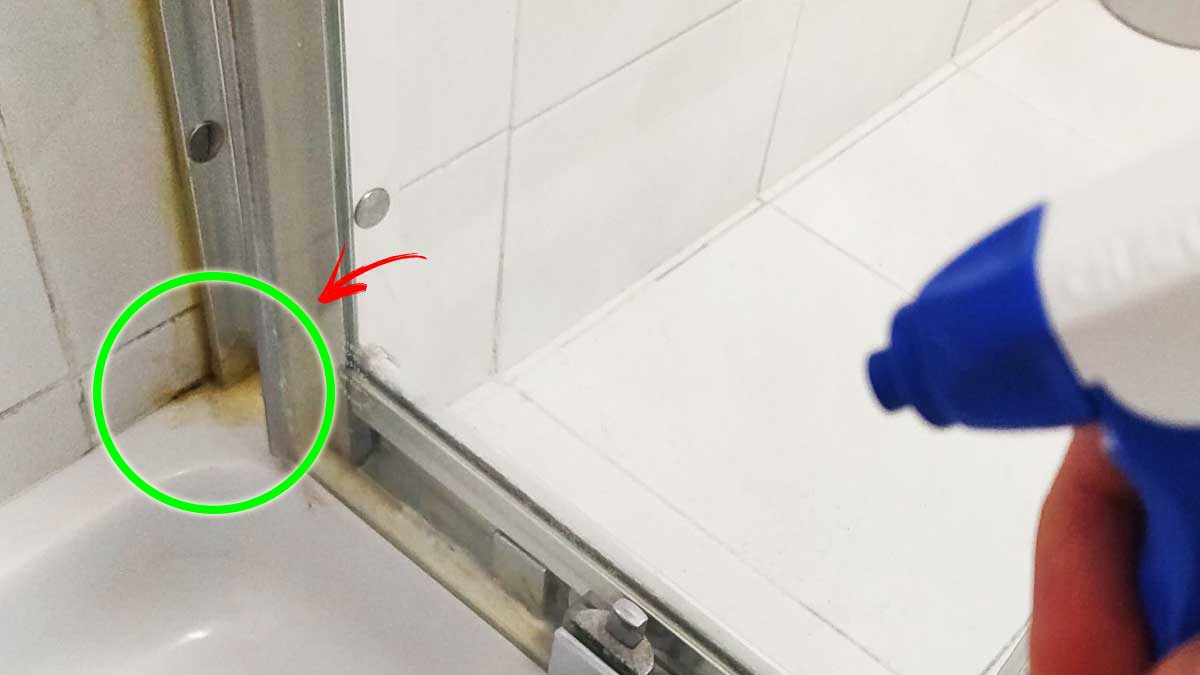 Con questi trucchetti la tua DOCCIA sarà pulita e non avrà più muffa!