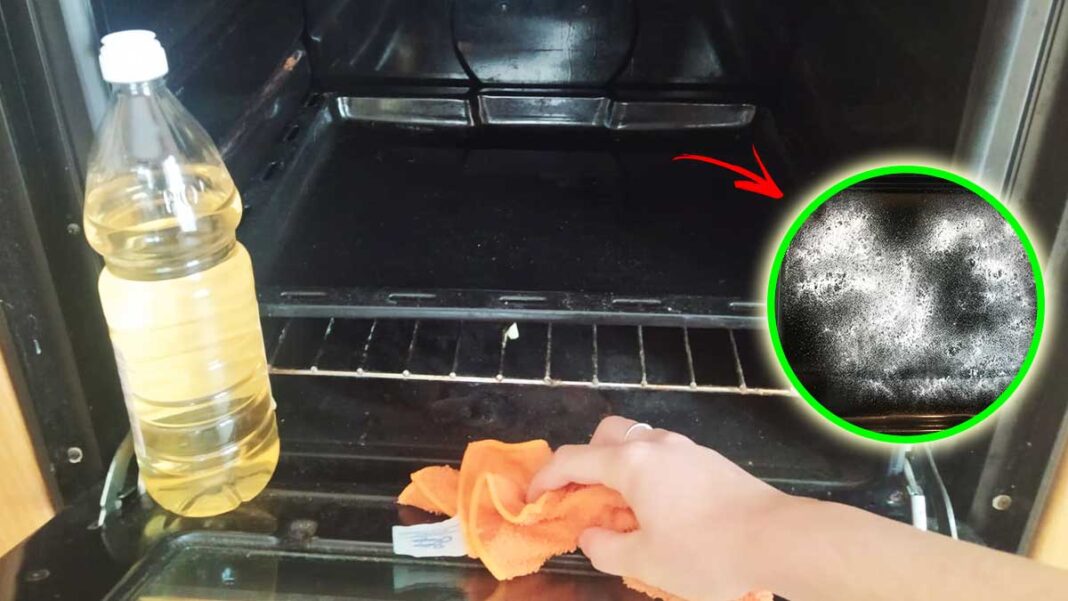 pulire-forno-senza-detersivi