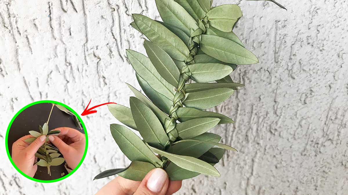 Come fare i rametti d’ulivo intrecciati per la Domenica delle Palme!