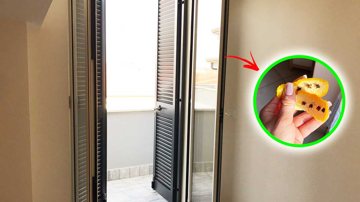 Come non far entrare gli insetti in casa anche se hai le finestre aperte!