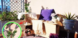 come-avere-balcone-stile-provenzale
