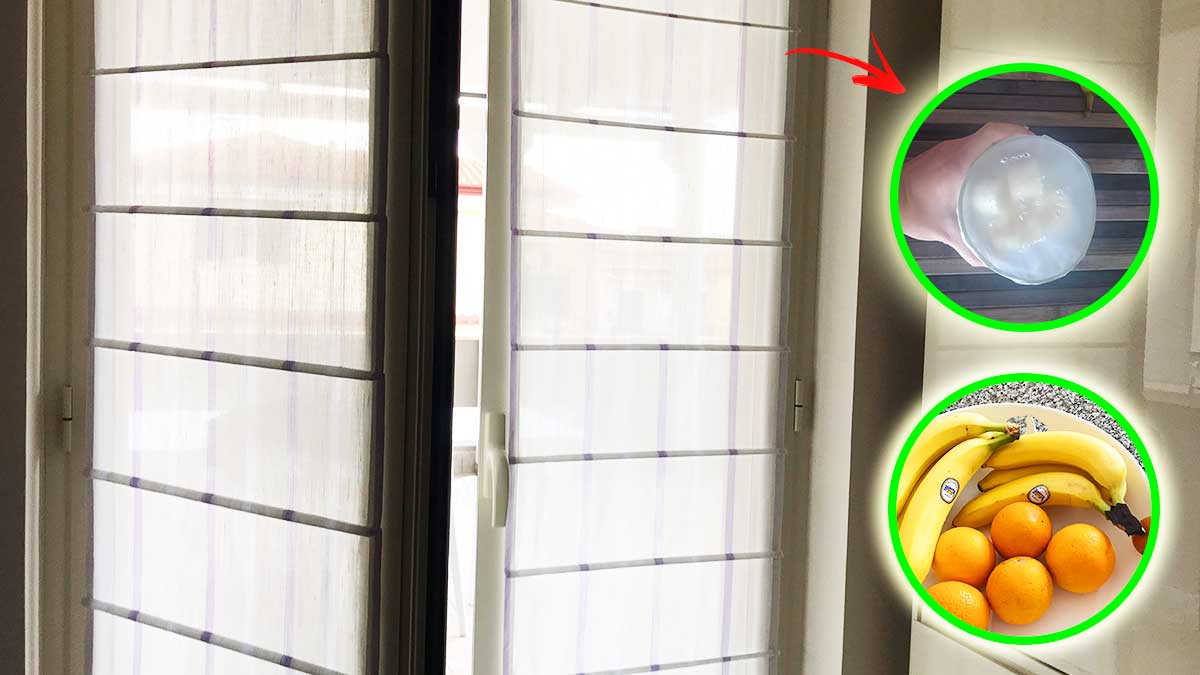 Prova questo trucchetto per allontanare i MOSCERINI in casa e dalla frutta!