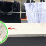 Come allontanare i ragnetti rossi dal balcone e dai panni stesi?