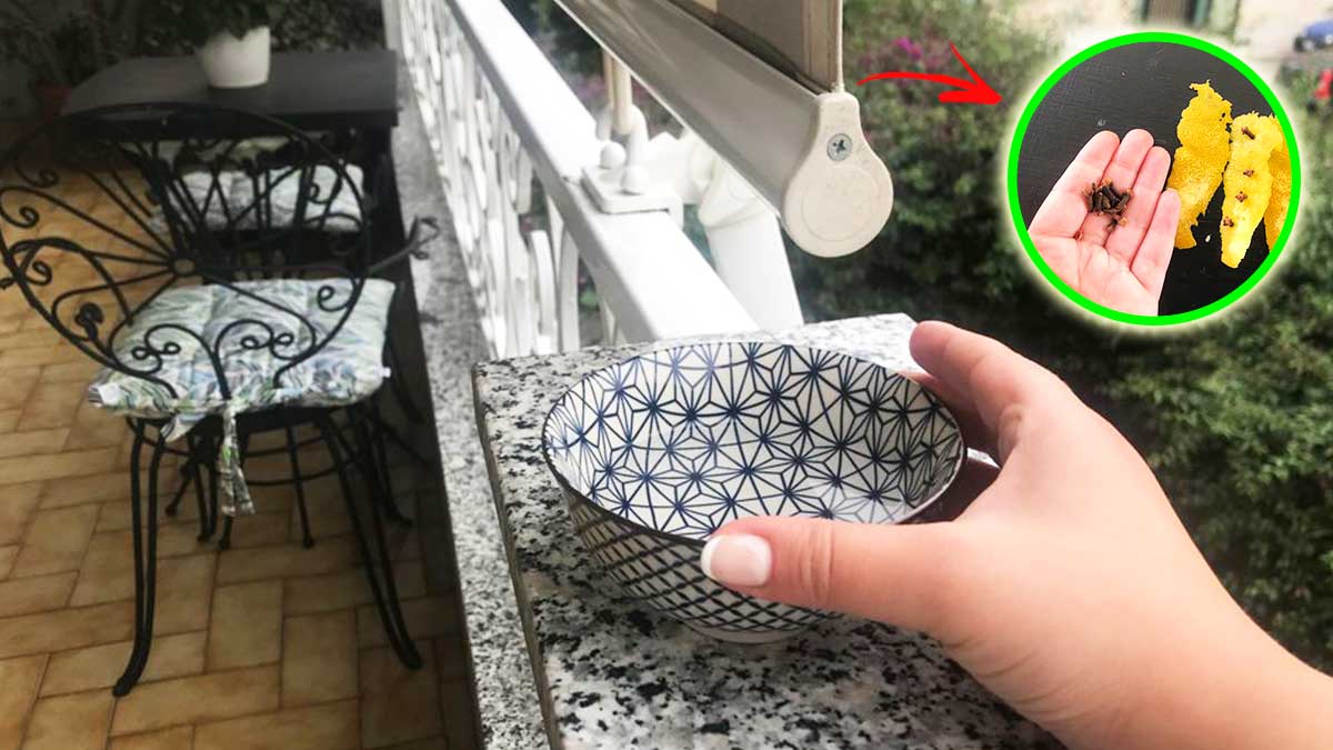 Come tenere lontane mosche e moscerini quando sei in balcone?