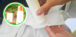come-fare-sapone-stick