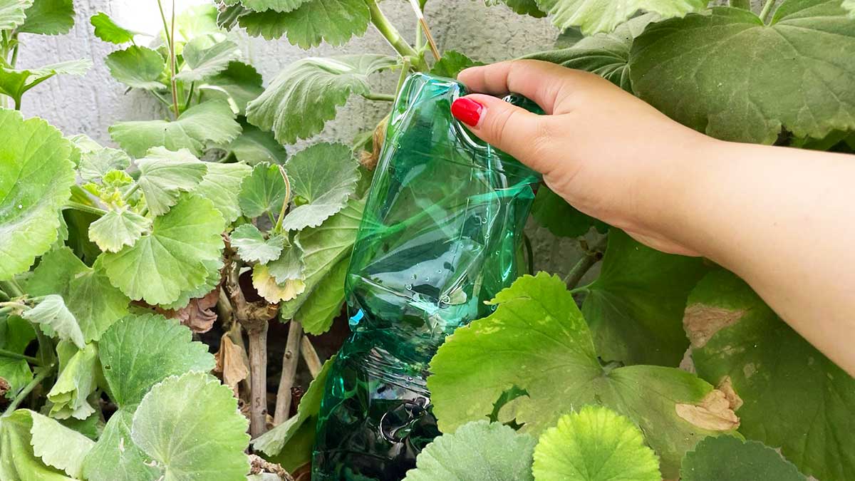 Come innaffiare le piante se sei via per il weekend?
