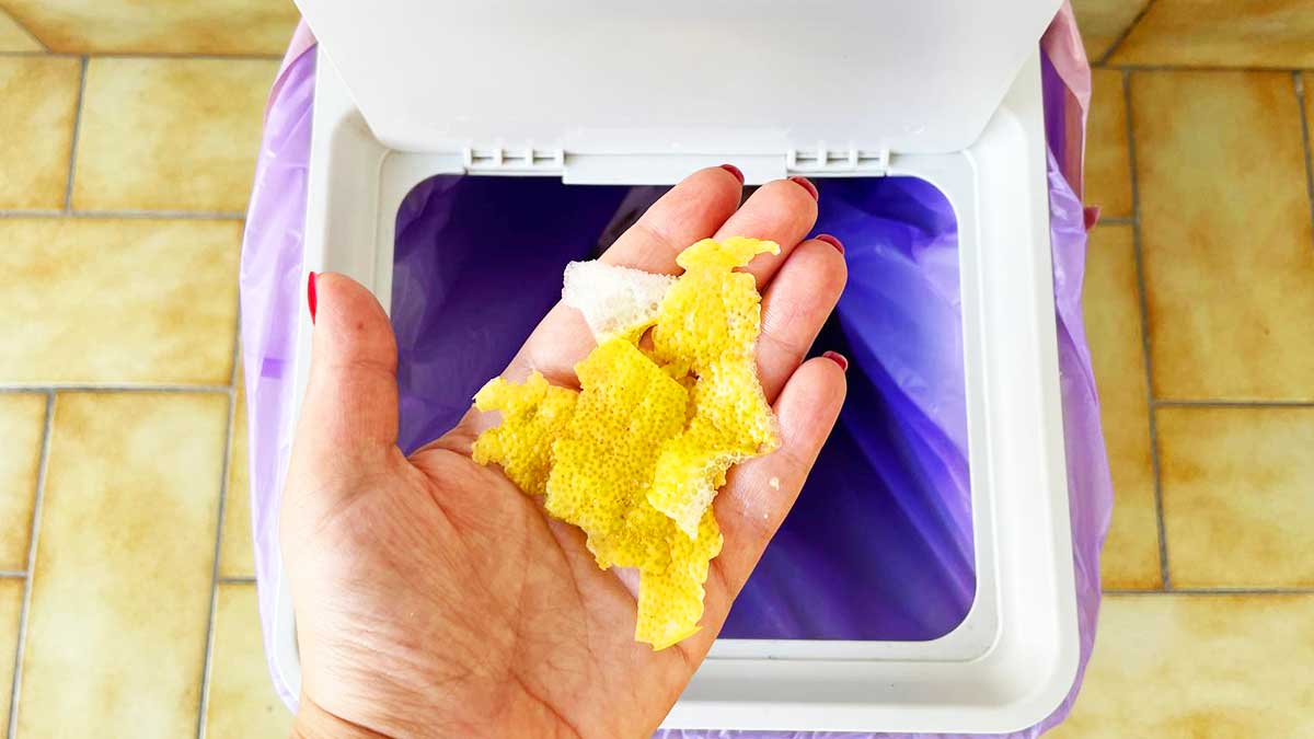 Tutti i trucchetti naturali per non far puzzare la pattumiera in estate!