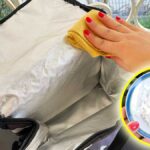 Come pulire la borsa frigo e togliere tutti i cattivi odori!