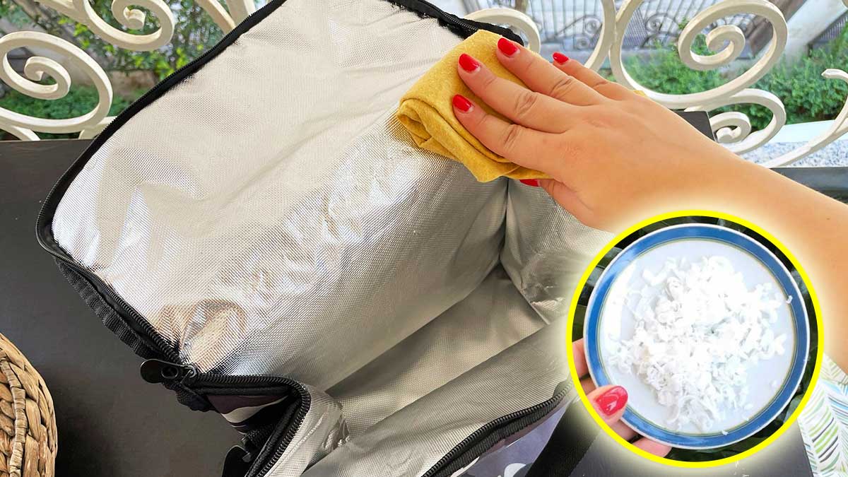 Come pulire la borsa frigo e togliere tutti i cattivi odori!