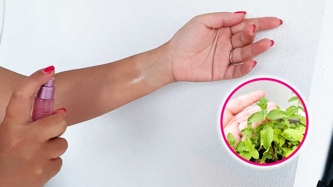 acqua-rinfrescante-fai-da-te