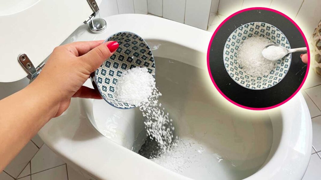 come-fare-sale-profumato-wc