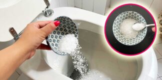 come-fare-sale-profumato-wc