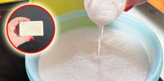 come-fare-sapone-marsiglia-liquido