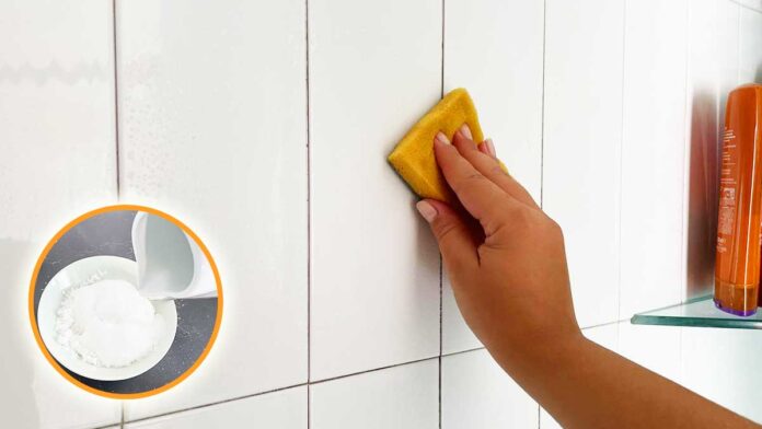 aloni-piastrelle-bagno